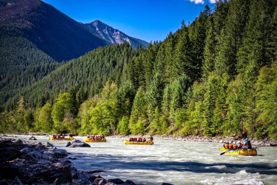 Golden, BC: Kicking Horse River Half Day Whitewater Rafting - Good To Know