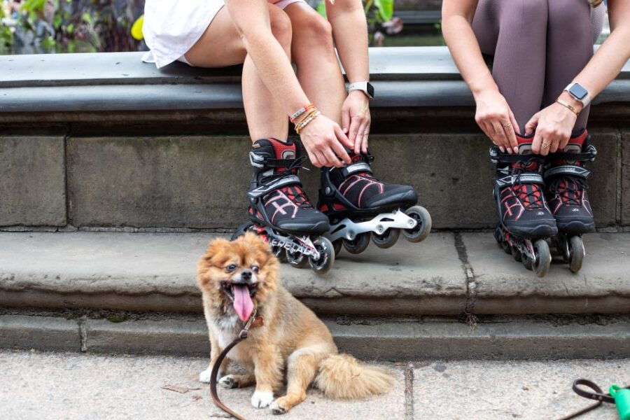 Golden Gate Park Rollerblade Rentals