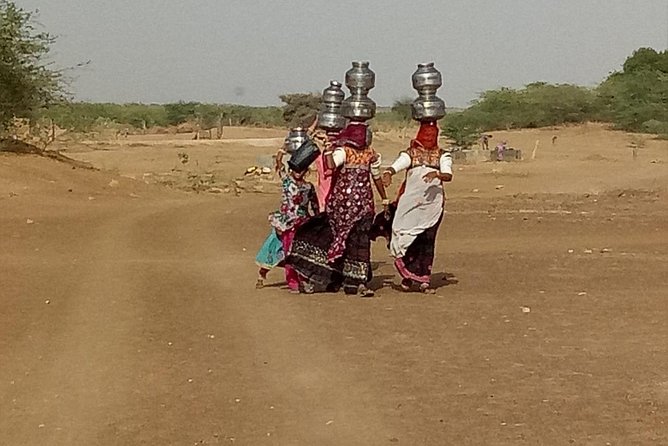 Golden Triangle Tour With Pushkar by Car - Good To Know