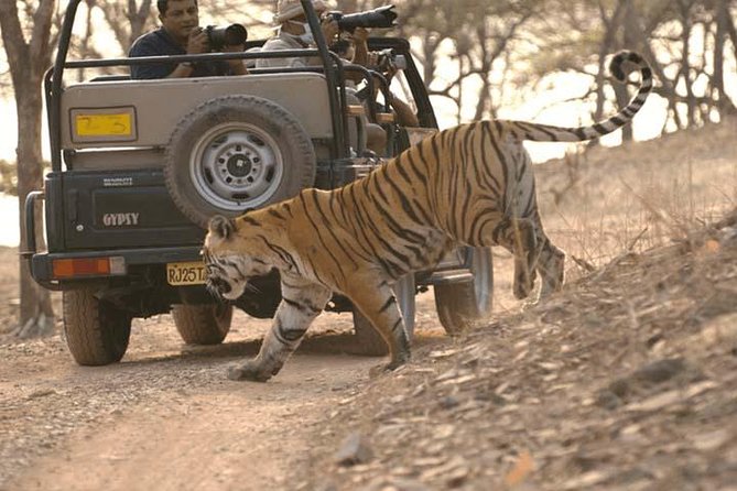 Golden Triangle Tour With Ranthambore 6 Days - Good To Know