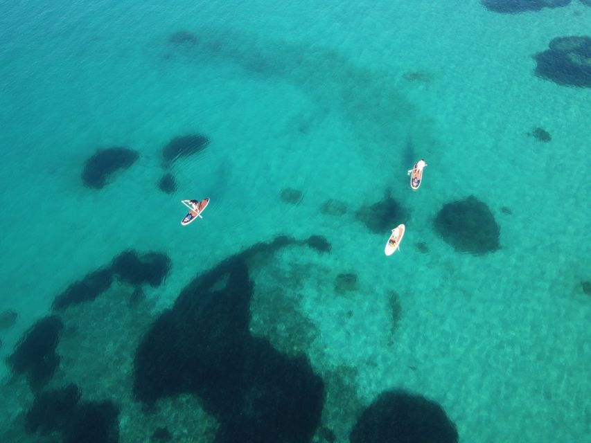 Golfo Aranci Tour With SUP Paddleboard, Dolphin Watching, and Breakfast With Aperitif - Good To Know