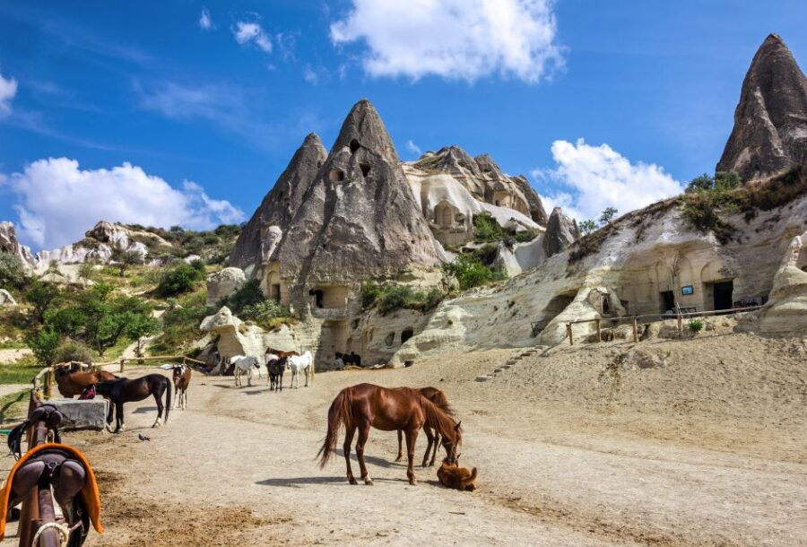 Göreme: Horseback Riding Experience in Cappadocia - Good To Know