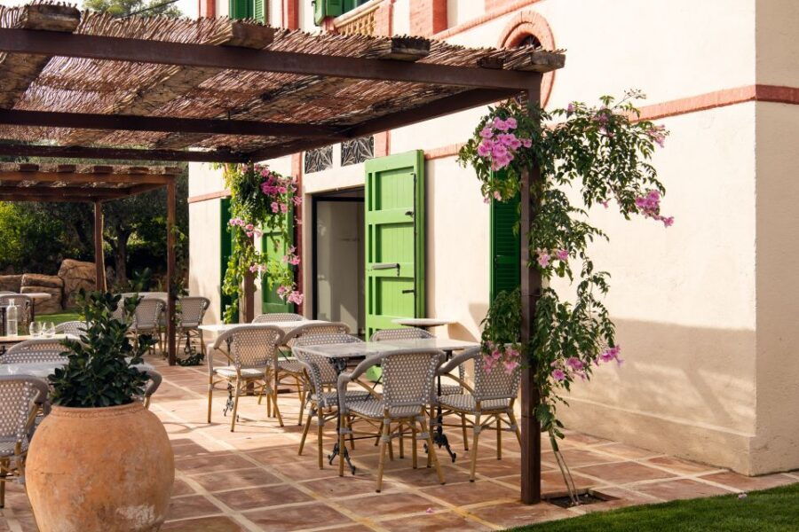 Gourmet Winery Tour: Wine Tasting and 8-Course Gourmet Menu - Good To Know