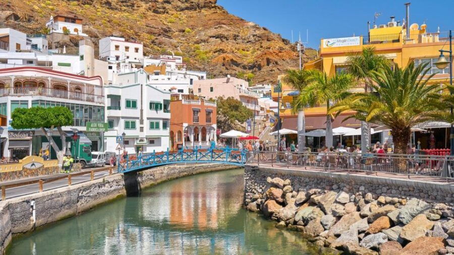 Gran Canaria : Dolphin Boat Excursion and Market on Fridays - Good To Know