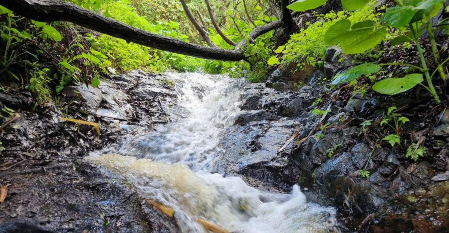 Gran Canaria: “Magic Waterfalls” Hiking Tour