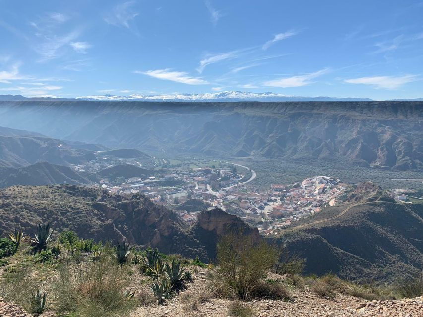 Granada Geopark: Desert and Prehistory Tour With Lunch - Good To Know