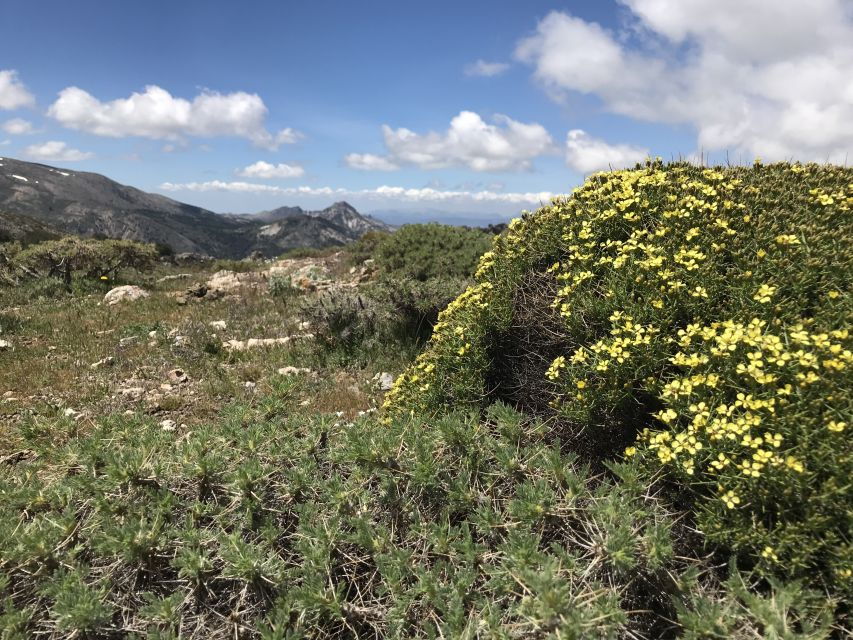 Granada: High Sierra Nevada Hiking Experience