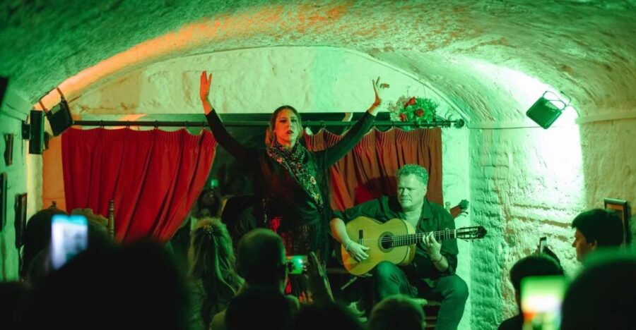 Granada: Traditional Flamenco Show in a Cave Entry Ticket