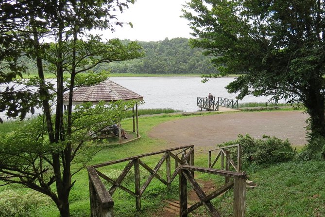 Grand Etang Trekking and Waterfall Swim With Small Group (Feb ) - Good To Know