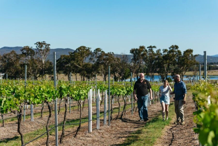 Granite Belt: Winemakers Winetasting Experience & Cheese