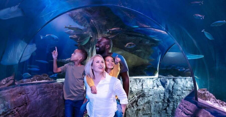 Grapevine: SEA LIFE Grapevine Aquarium General Admission