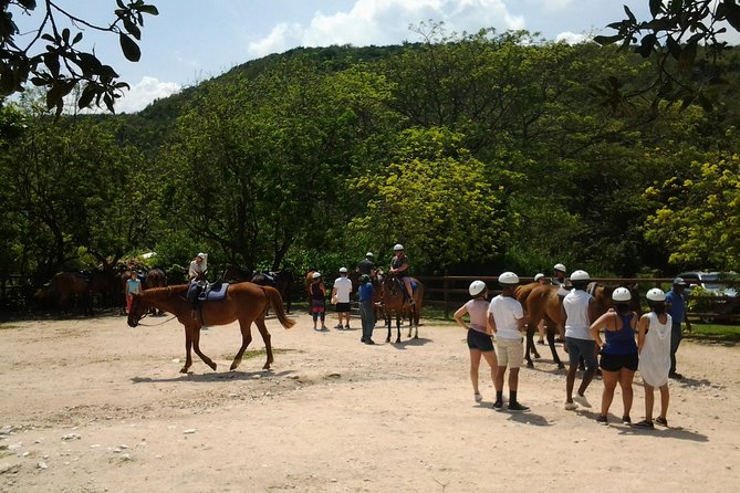 Green Grotto Caves Horseback Riding Adventure From Montego Bay - Good To Know