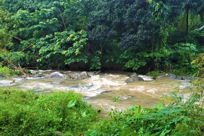 Grenada River Tubing and Annandale Falls Private Tour