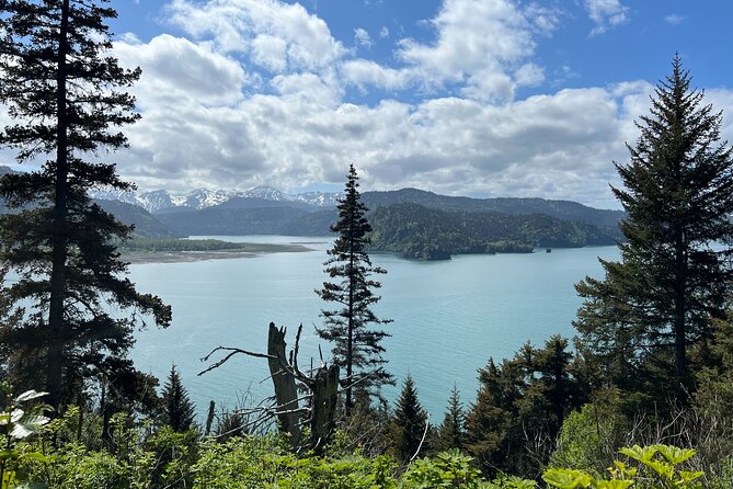 Grewingk Glacier Hike in Kachemak Bay - Good To Know