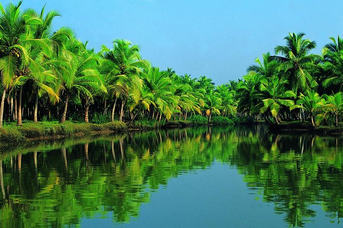 Group Shore Excursion From Cochin Port