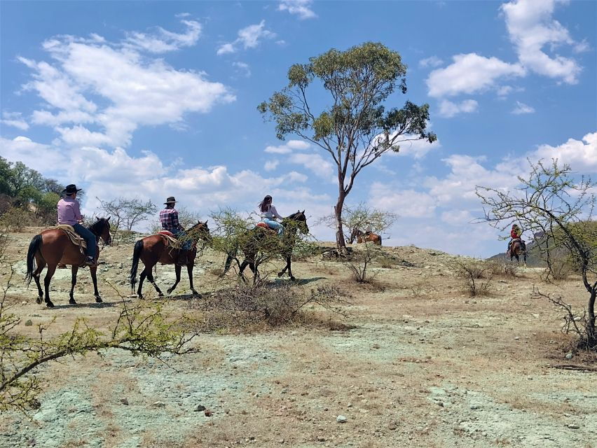 Guanajuato: Horse Ride Tour - Good To Know