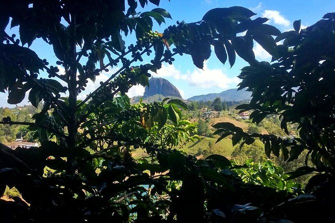 Guatape Rock & Coffee Tour & Picturesque Town, All in One Day - Good To Know