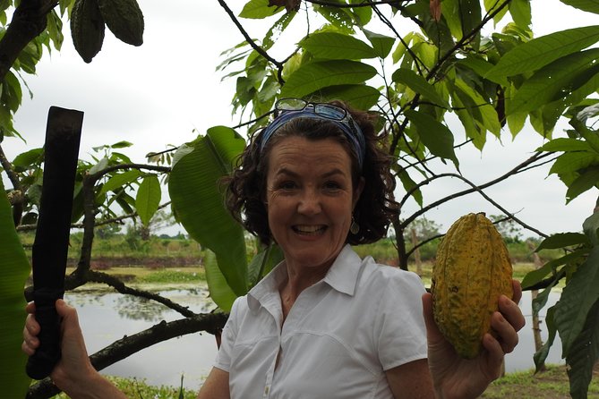 Guayaquil Mangrove Tour and Chocolate Experience (Feb )