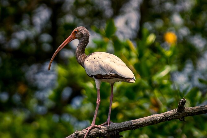 Guayaquil Private Half-Day Churute Eco Reserve Tour (Feb )