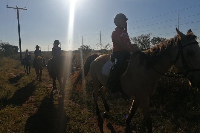 Guided 2 Hour Farm Horse Trail