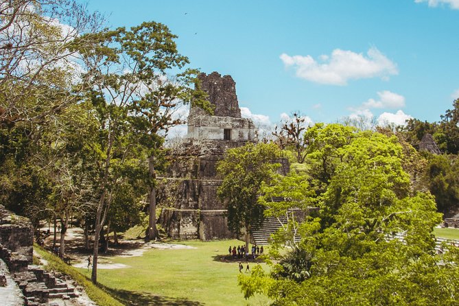 Guided All-Day Private Tour of Tikal National Park - Flores