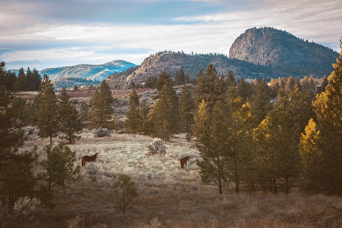 Guided Backcountry Experience in the South Okanagan - Good To Know
