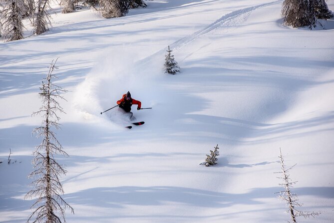 Guided Backcountry Ski Tour Near Breckenridge - Good To Know