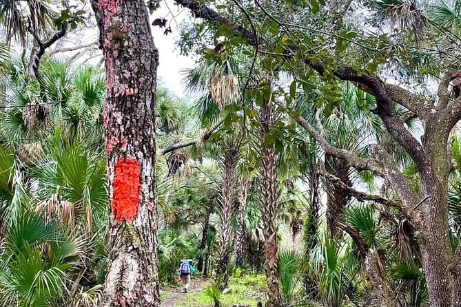 Guided Day Hike Through Floridas Wild Backcountry. - Good To Know
