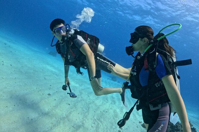 Guided Diving Experience for Padi OW in Red Sea and Sinai - Good To Know