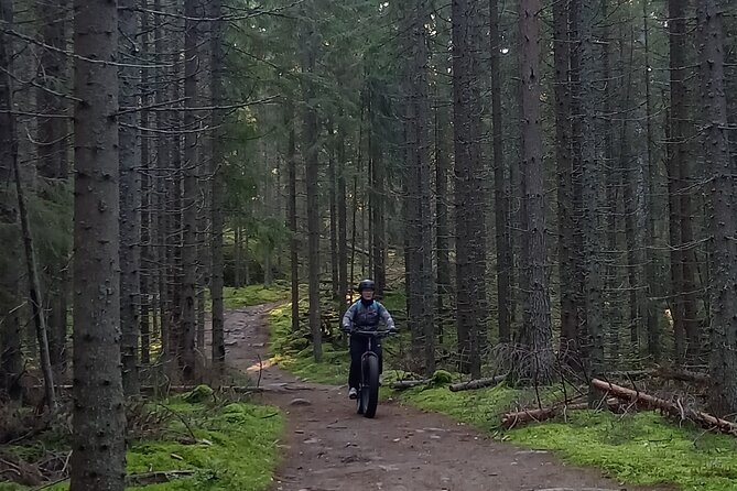 Guided E-Fatbike Trek in Repovesi National Park - Good To Know