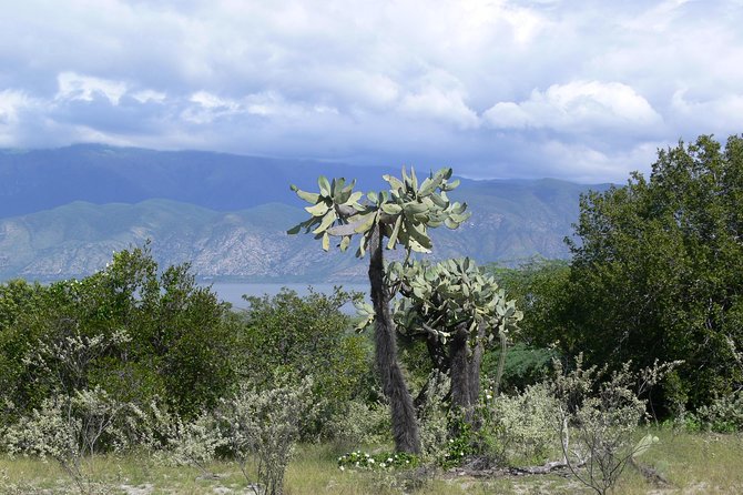 Guided Expedition to Lake Enriquillo  - Dominican Republic - Good To Know