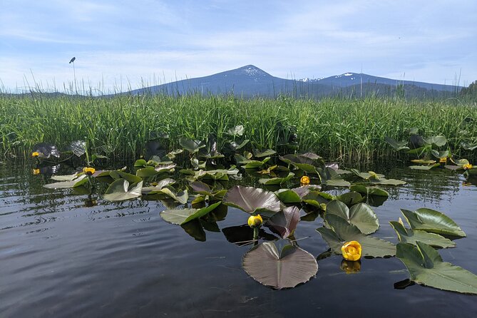 2 Best Guided Tours In Oregon