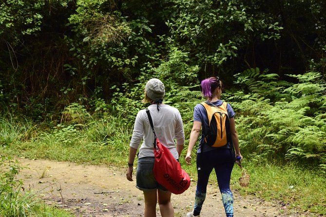 Guided Hiking Trial – PEPSI POOLS