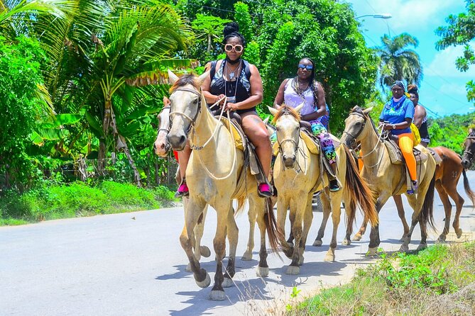 Guided Horseback Riding Through Nature in Punta Cana