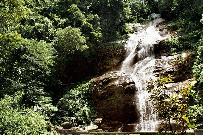 Guided Jeep Adventure Through Tijuca Rain Forest