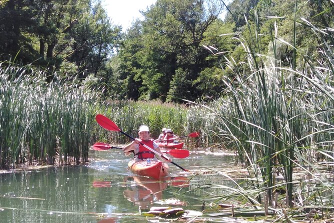 Guided Kayak Trip to Discover Endine Lake - Good To Know