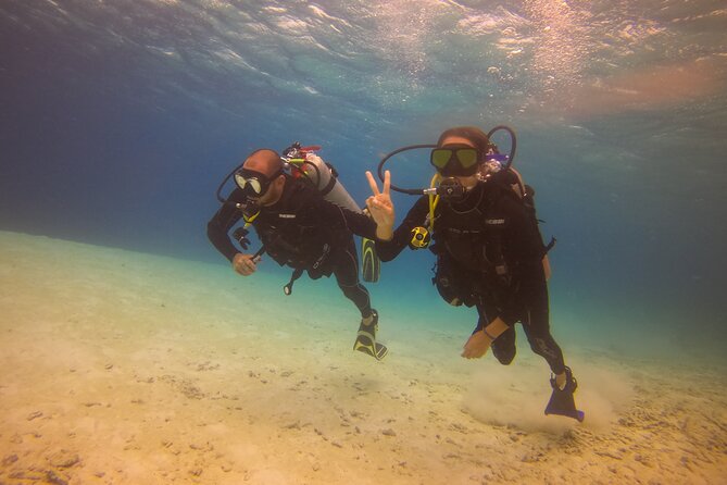 Guided Padi Discover Scuba Diving for Non-Certified Divers - Good To Know