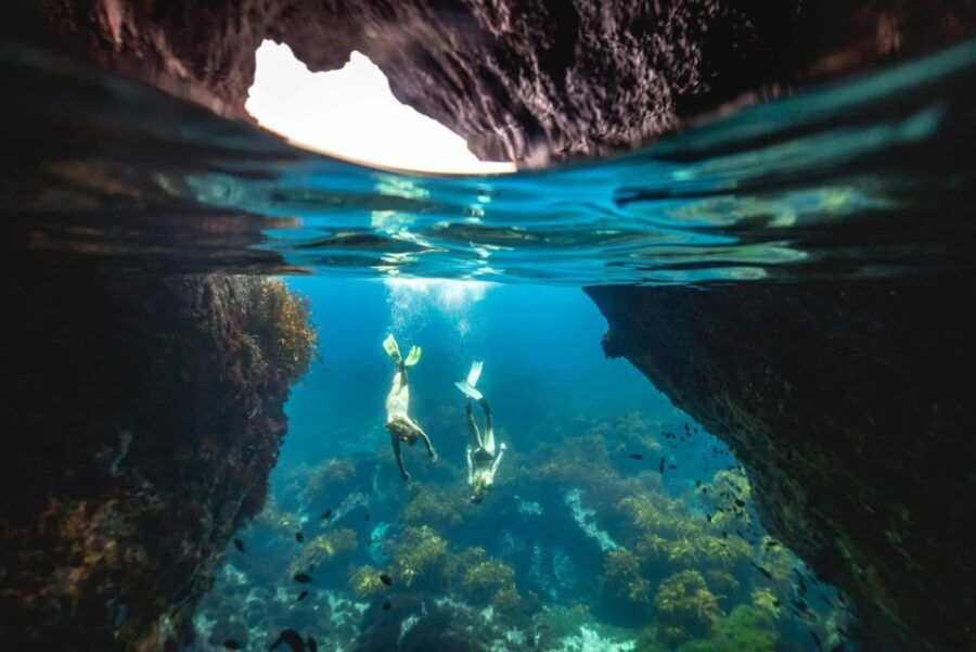 Guided Snorkeling Tours Auckland - Good To Know