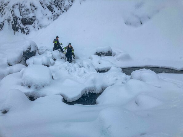 Guided Snowshoeing Adventure in Seward, Alaska - Trip Overview