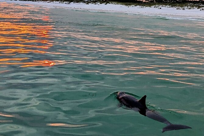 Guided Sunset Cruise Up to 22 Passengers in Florida - Good To Know