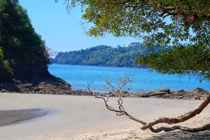 Guided Tour of the National Park Manuel Antonio