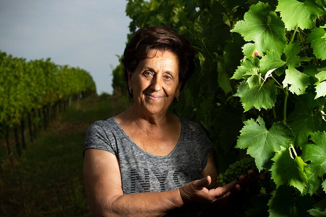 Guided Tour of the Winery in Bertinoro (Forlì-Cesana) With Wine Tasting