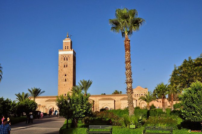 Guided Unveiling the Medinas Wonders of Marrakech - Good To Know