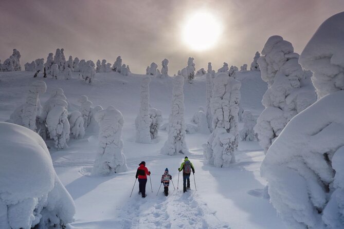 Guided Wilderness Snowshoes Expedition Tour in Rovaniemi