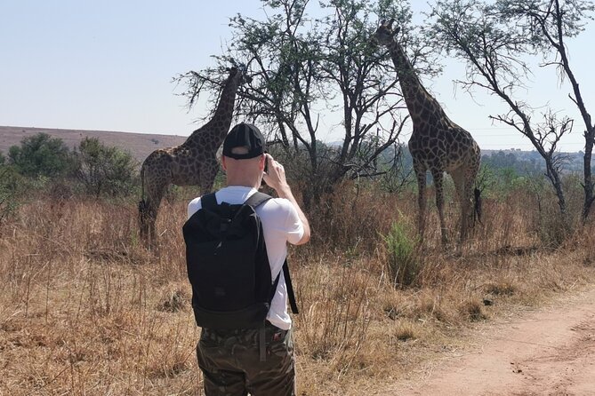 Guided Wildlife Hiking in the Magaliesberg - Only an Hour From Johannesburg - Good To Know