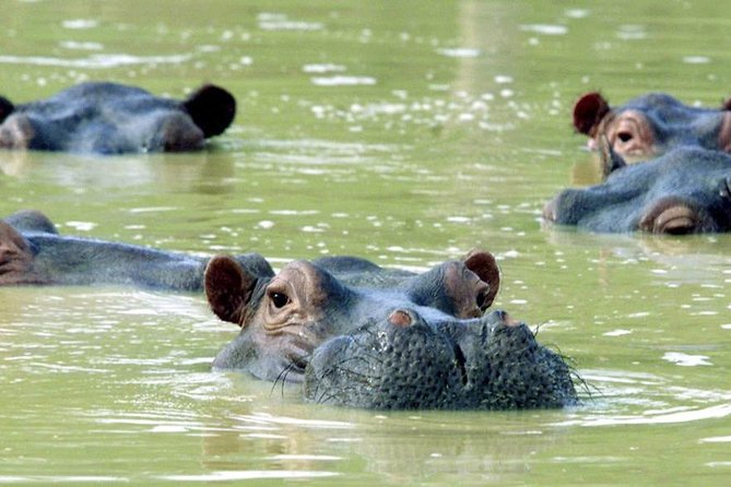 Hacienda Napoles From Medellin With Breakfast - Medellín - Benefits of Choosing Hacienda Napoles Tour