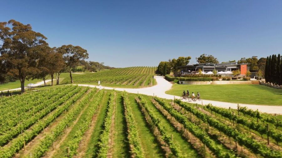 Hahndorf: Gourmet Food & Wine E-Bike Tour
