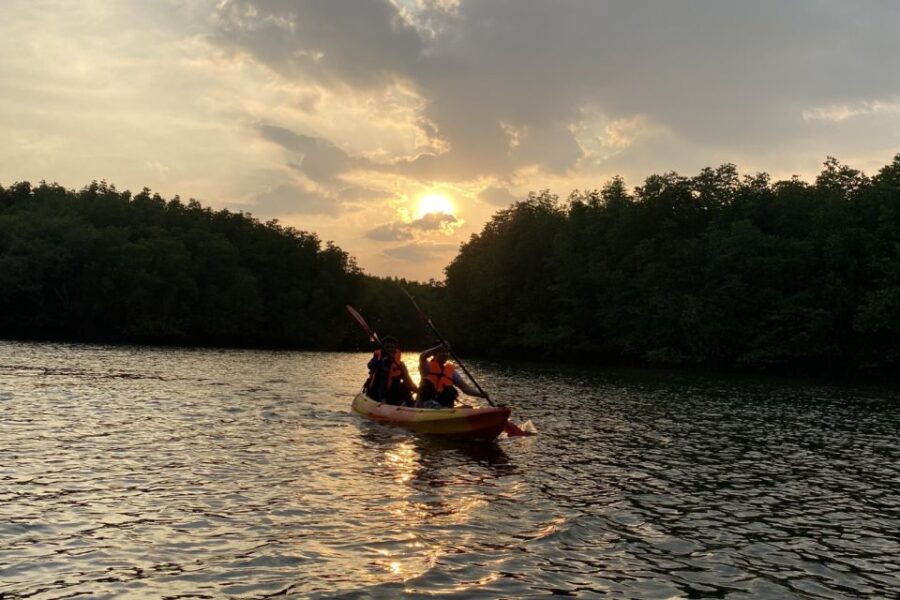 Half Day Adventure Kayaking at Mangrove Forest