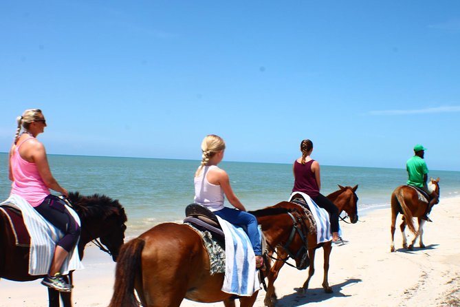 Half Day Beach Horseback Riding in Ocho Rios Lunch