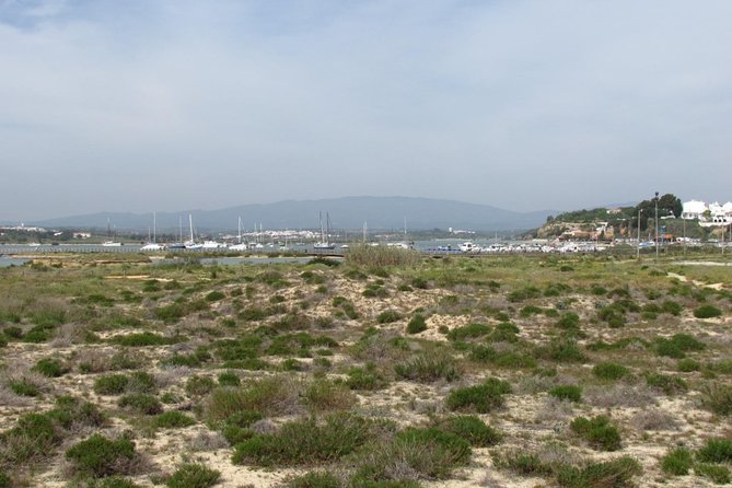 Half-Day Birdwatching at Alvor Dunes - Good To Know